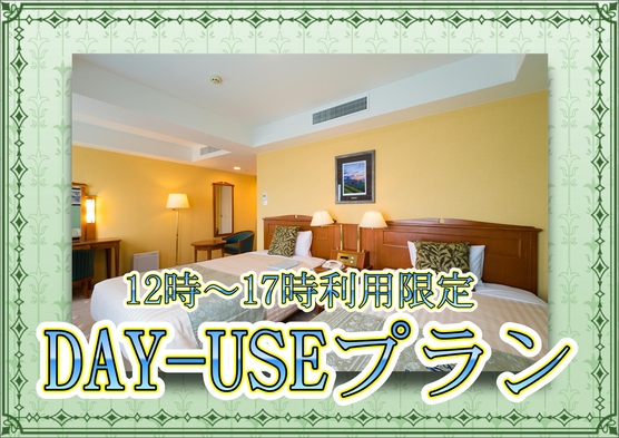 DAY-USEプラン【お昼12時〜夕方5時利用限定】